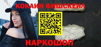 крисы Камышлов