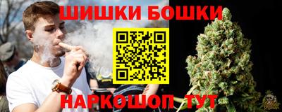 крисы Камышлов