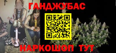 крисы Камышлов