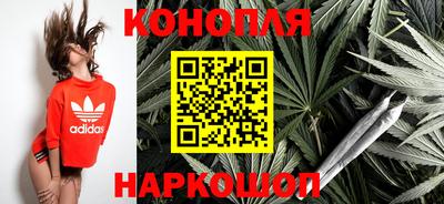 крисы Камышлов