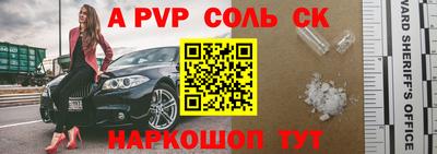 крисы Камышлов