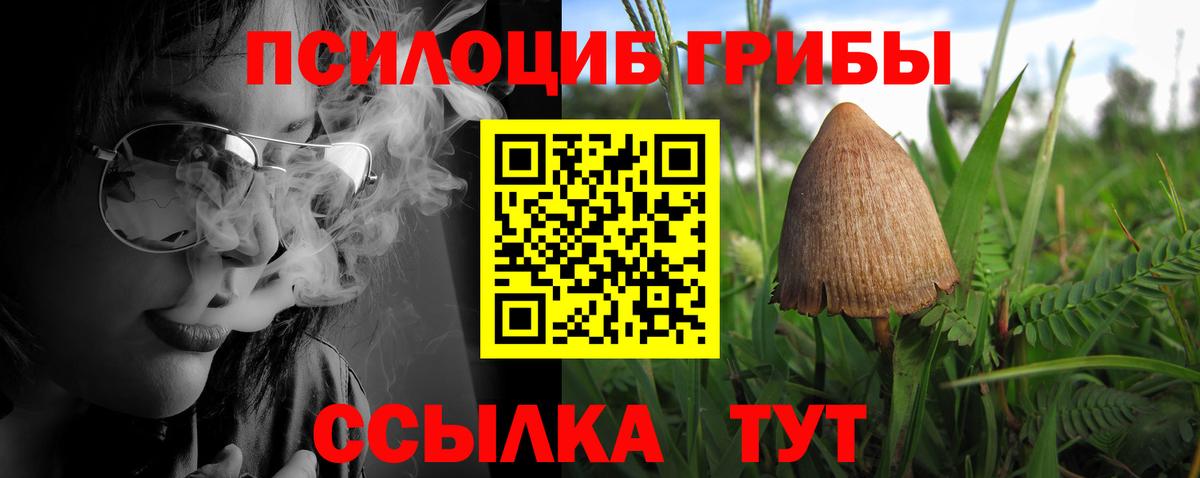 Псилоцибиновые грибы мухоморы  Галлюциногенные грибы Psilocybine cubensis  Куйбышев  Вход с VPN 